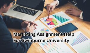 Best Assignment Help For Sydney Students