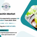 Catechin Market