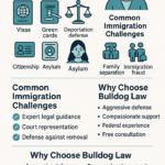 Immigration Lawyer