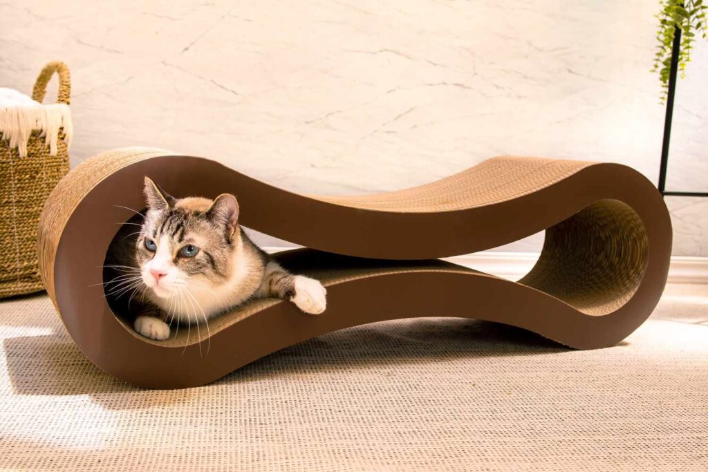 A cat comfortably resting on a soft cat bed, enjoying a peaceful moment.