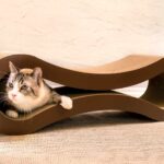 A cat comfortably resting on a soft cat bed, enjoying a peaceful moment.
