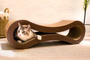A cat comfortably resting on a soft cat bed, enjoying a peaceful moment.