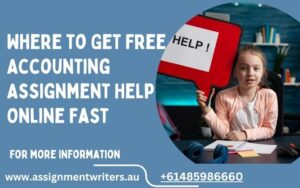 Where to Get Free Accounting Assignment Help Online Fast
