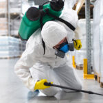 Bed bugs Control Services