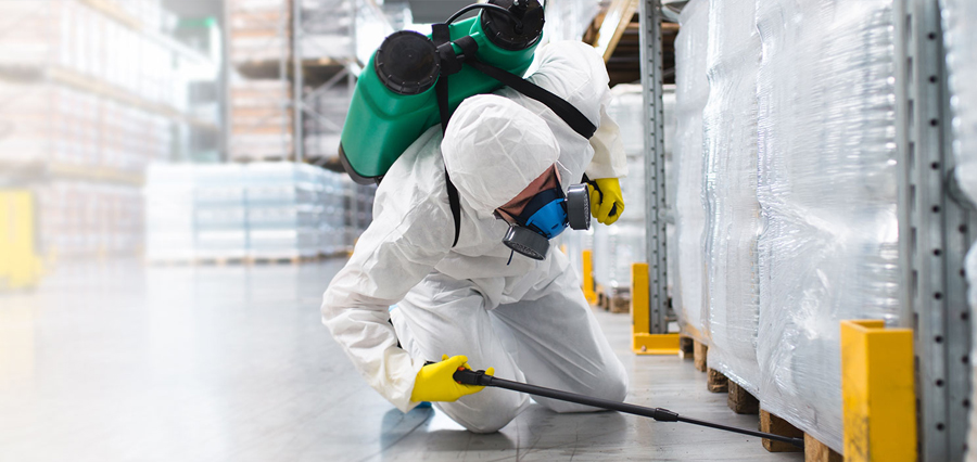 Bed bugs Control Services