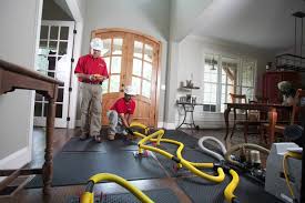 water damage cleanup