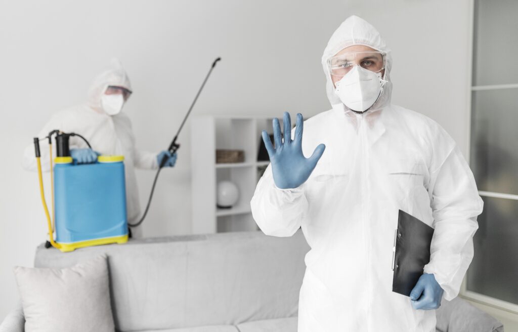 Pest Control SEO Service