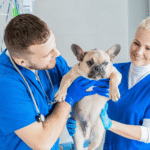 Veterinary Supplements Turkey
