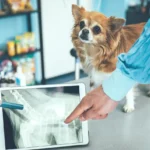 Animal Health Distributors Oman
