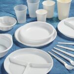 disposable plates