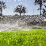 installation-sprinkler